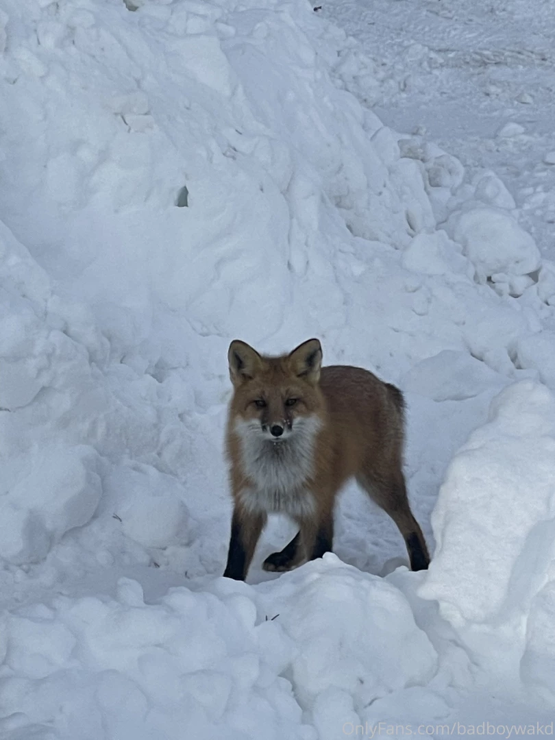 Winter just starting 