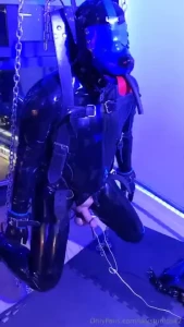 Part 2 vintage sky being a good boy training is going well still