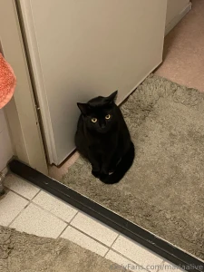 Did my first 420 hit and had to eat everything i owned