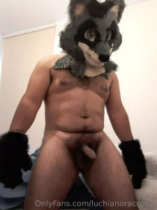 Im a hurnny raccoon 7w7 furry dick mursuit gay perugay latinboy cubby part 1