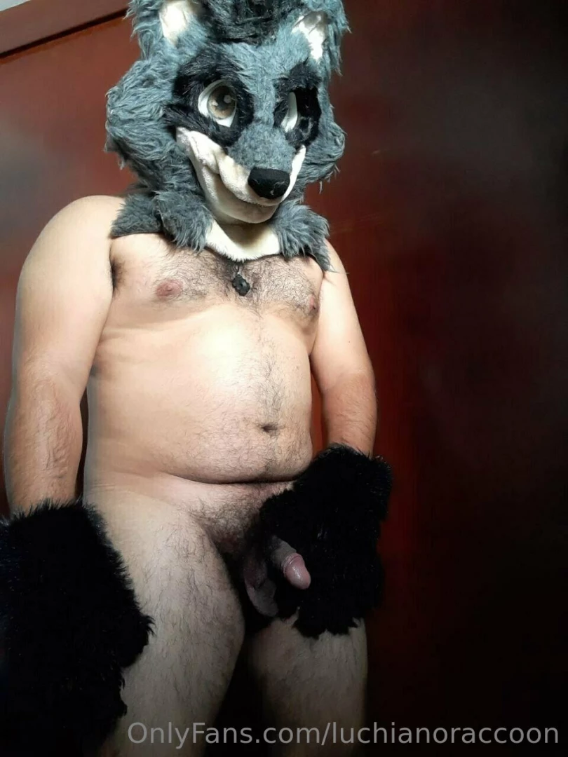 Im fell sexy 7w7 furry dick underwear mursuit gay perugay latinboy 