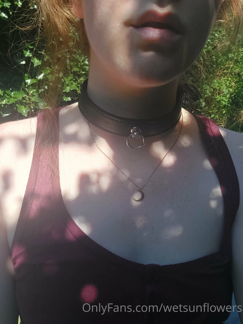 Enjoy a picture of me in my collar and find some close up pics and a 