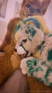 How to tame a wild yote