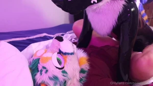 This wolf is really cute when he top such a good puppy
