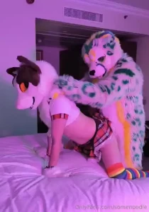 Look at this house kitty who so easily lifts his tail for a cat bigger