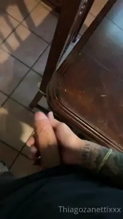 Thiagozanettixxx part 25 