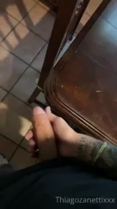 Thiagozanettixxx part 25