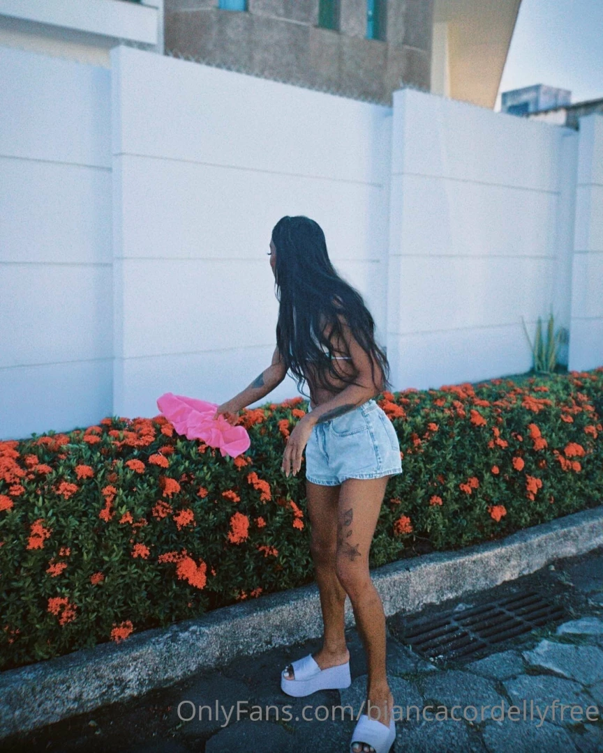 I love my brazil part 2 