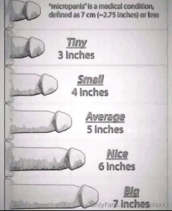 If you enter the categories micropenis tiny small or average you owe