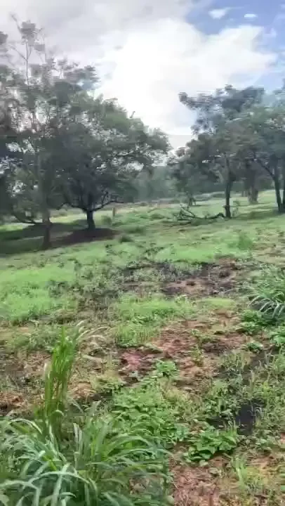 Feat skatist23cm more in caradotado03 