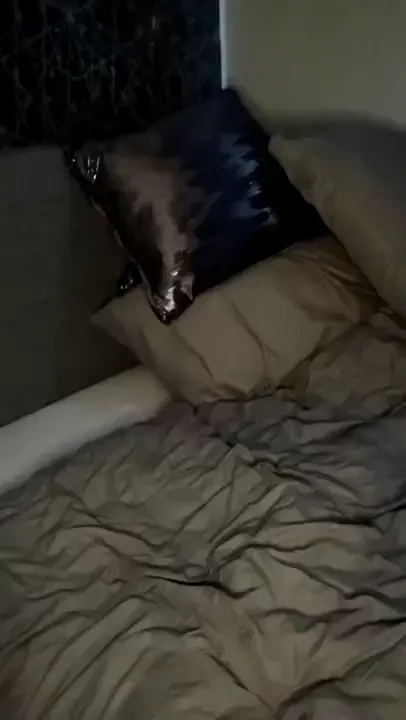 Stream started at 09 12 2023 08 07 am 