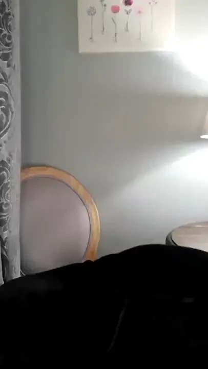 Stream started at 12 09 2023 05 12 pm 