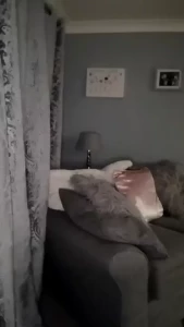 Stream started at 02 19 2024 09 01 pm