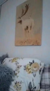 Stream started at 06 26 2022 08 00 am