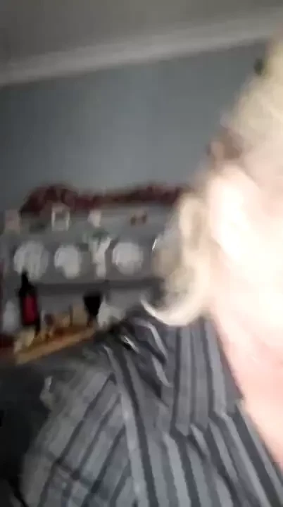 Stream started at 12 30 2022 12 02 am 