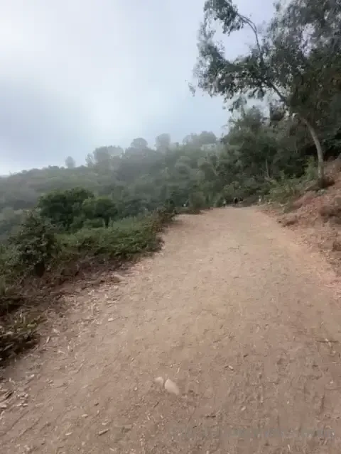 Taking you on my hike with me 