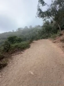 Taking you on my hike with me