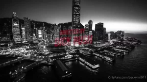 Fade to grey with greybeauty and chadsteel any tips are welcome and