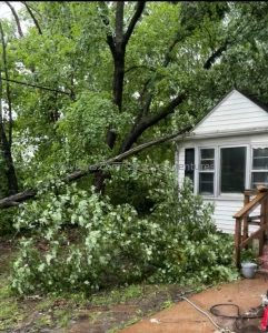 Watching the storm yesterday after it blew a tree onto my house part 1