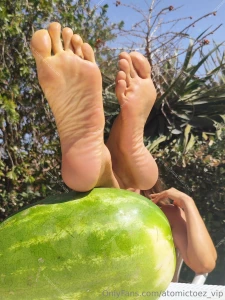 Tell me you re envying this watermelon part 7