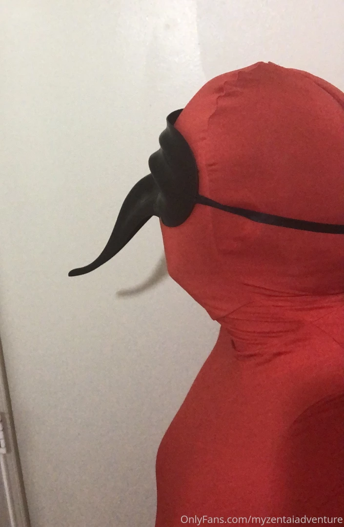 The venetian mask what a lovely piece of art so sexy so elusive so part 5 