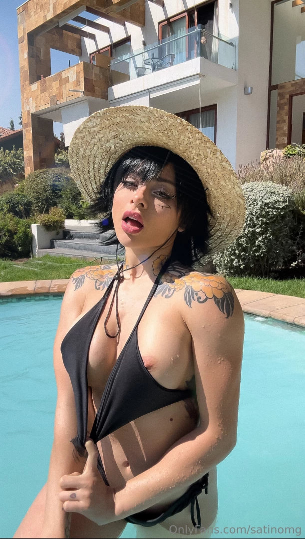 Satinomg part 196659 