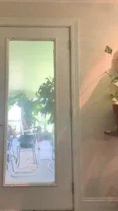 Just me wishing i could dance for the tiktok trends lol part 1