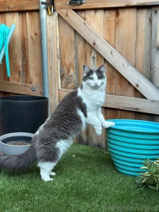 Hi everyone i know i ve been a bit absent and it s solely due to the