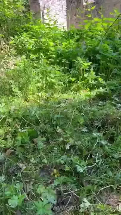 Sound on to listen to my personal message for you - i don t want to 