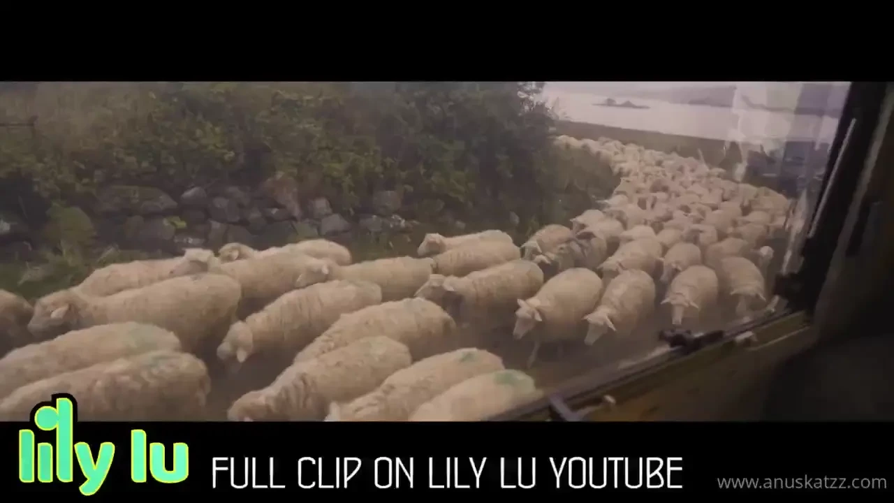 Full free clip here https geni us life_follows_no_lines just as simple 