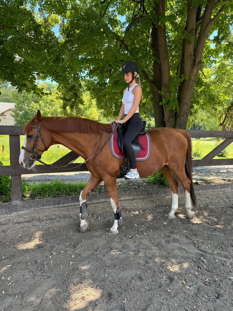 I spent time with the horses today and it s always a special moment part 2 