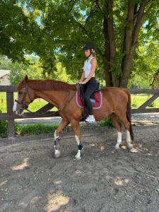 I spent time with the horses today and it s always a special moment part 2