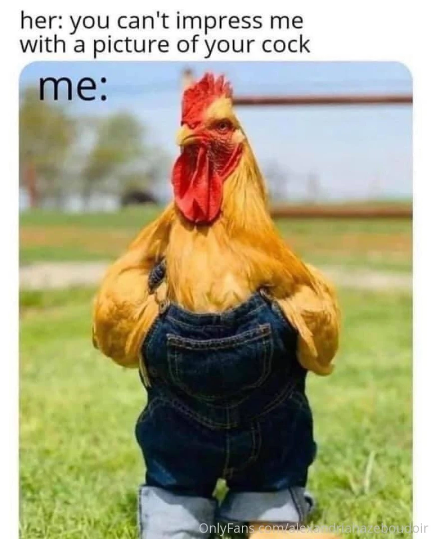 I mean i like a well dressed cock 