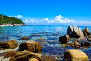 Hey we haven t written about our travels for a long time and want to part 5