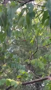 My weekend eeek i had such fun part 7