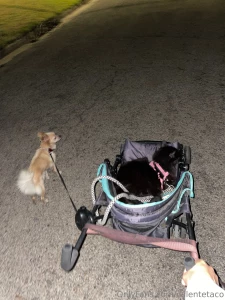 March march march gosh are we enjoying these experiences i love you part 5