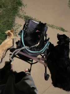 March march march gosh are we enjoying these experiences i love you part 2