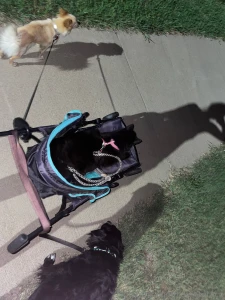 March march march gosh are we enjoying these experiences i love you part 4