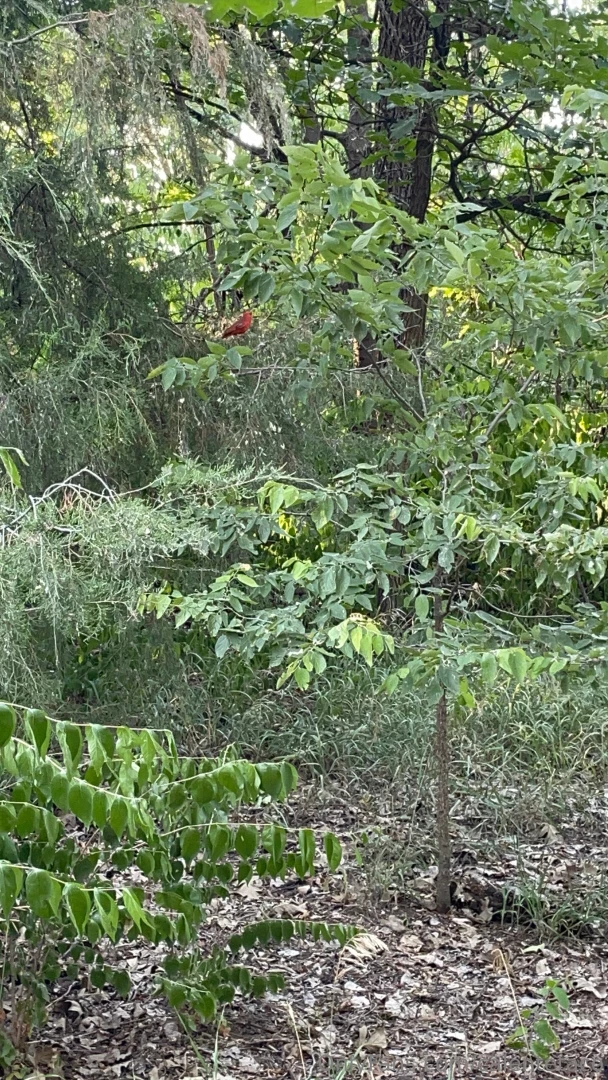 My weekend eeek i had such fun part 3 