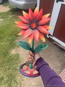 Bought some flowers for myself today because i have yet to find