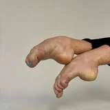 swanfeet