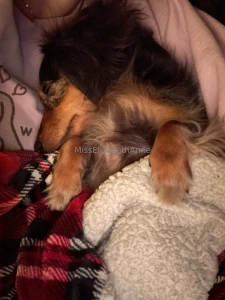 Just a girl and her ween