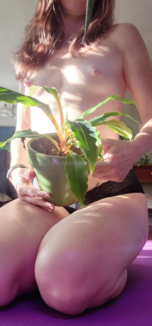 Need a little pick me up come get some plant therapy 