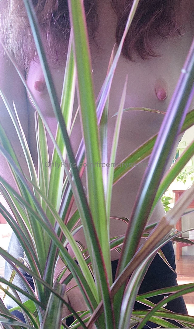 Plant therapy is the best medicine 