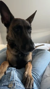 Thank you all for making this year such an amazing journey your love part 4