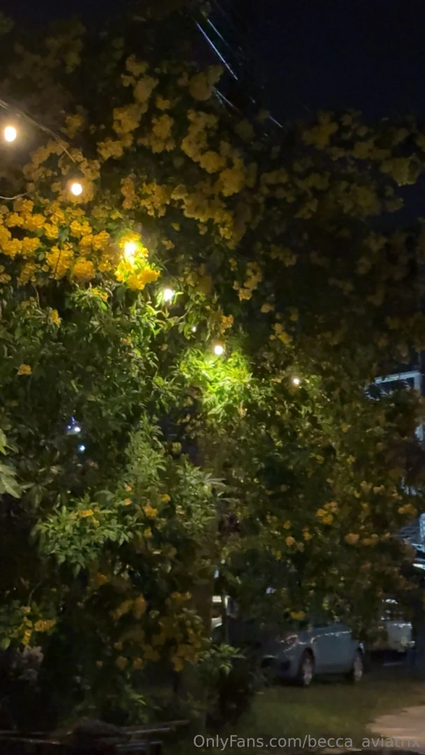 Fighting through limits and finding strength i never knew i had muay part 10 