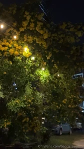 Fighting through limits and finding strength i never knew i had muay part 10