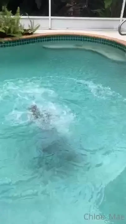 Sometimes you just gotta let off some steam and jump in the pool fully 