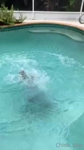 Sometimes you just gotta let off some steam and jump in the pool fully