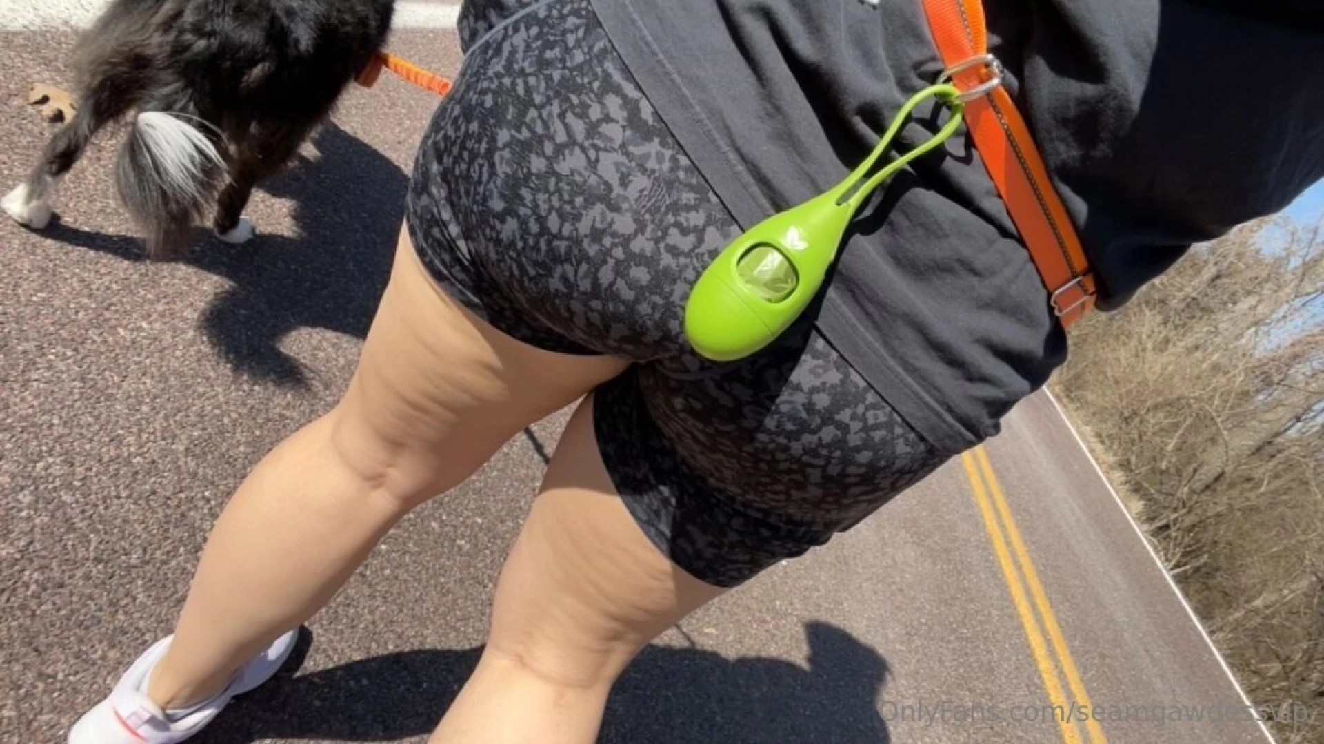 Who wants to take axl on a walk with me 